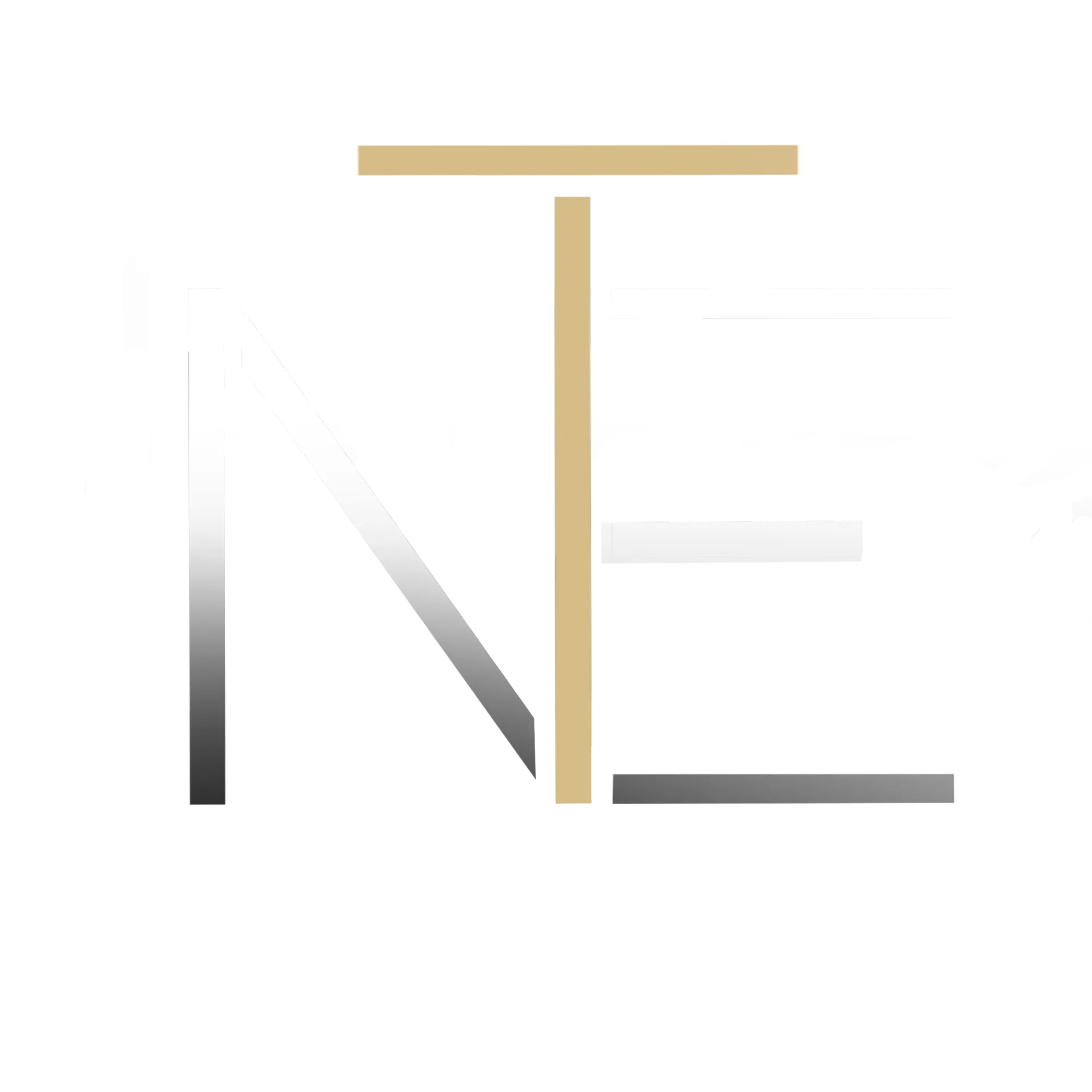 The Northern Elite Monogram Logo